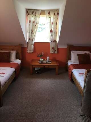 Отели типа «постель и завтрак» Heeneys Lodge B&B Донегол Cемейный номер с собственной ванной комнатой-5
